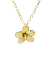 Royal Orchid Collection